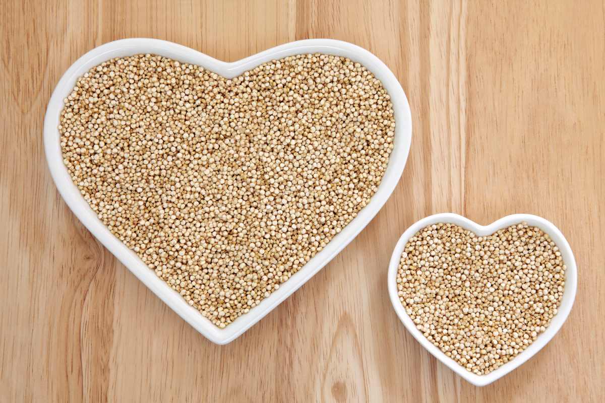 Propiedades De La Quinoa Mundo Quinoa